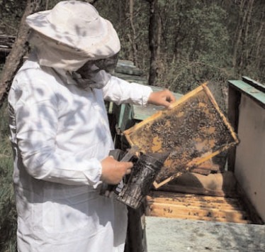 202 apicultori dâmbovițeni, eligibili pentru sprijin prin PNA