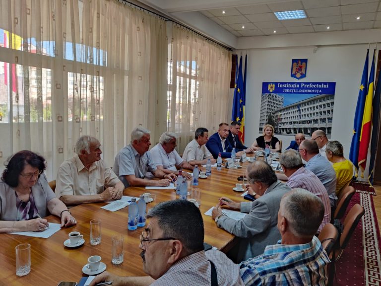 Ședința Comitetului Consultativ de Dialog Civic la Prefectura Dâmbovița 