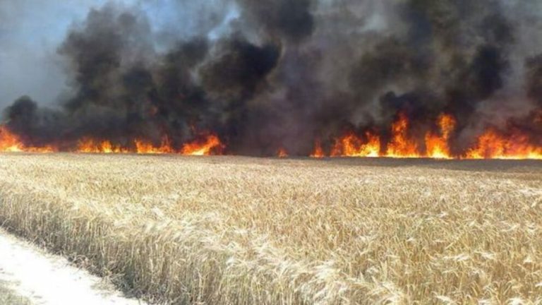 Prevenirea incendiilor pe timpul campaniei agricole de vară